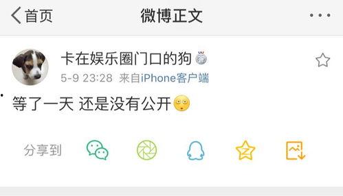 吃瓜爆料qq,网络舆论场上的风云变幻