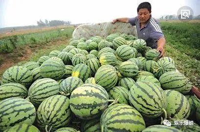 吃瓜的娱乐号是什么